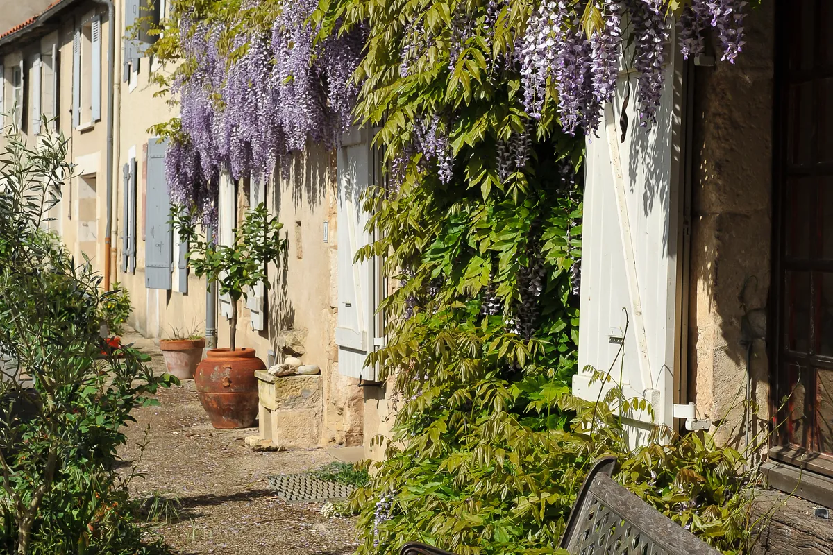 Randonnées dans la vallée de la Clouère